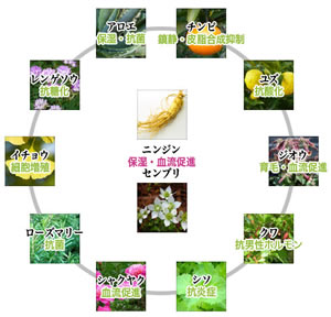 12種類の植物エキス